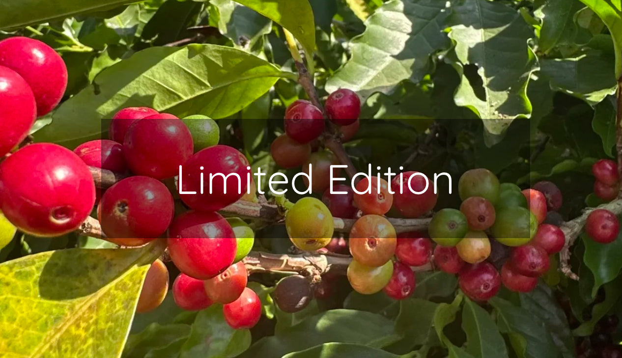Limited Edition
